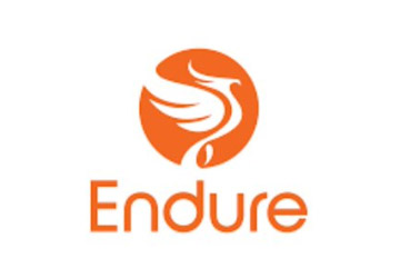 Endure Capital